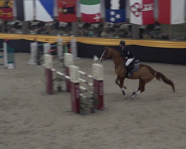 Reitturnier Erlen 2025