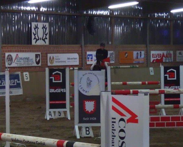 Reitturnier Lembeck 2025