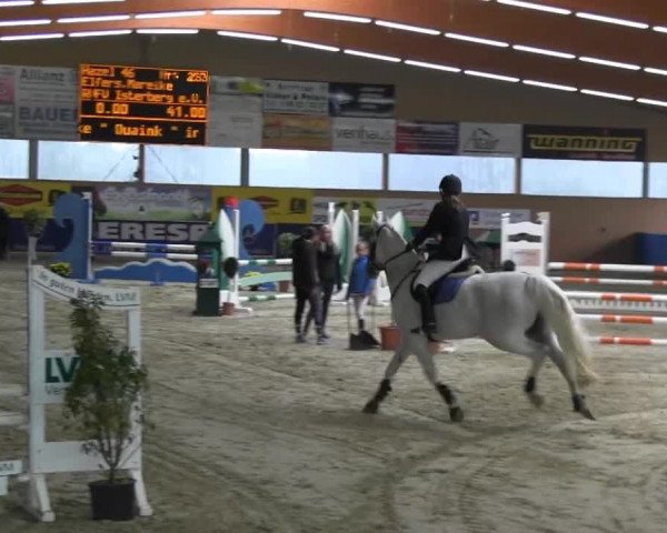 Reitturnier Isterberg 2013