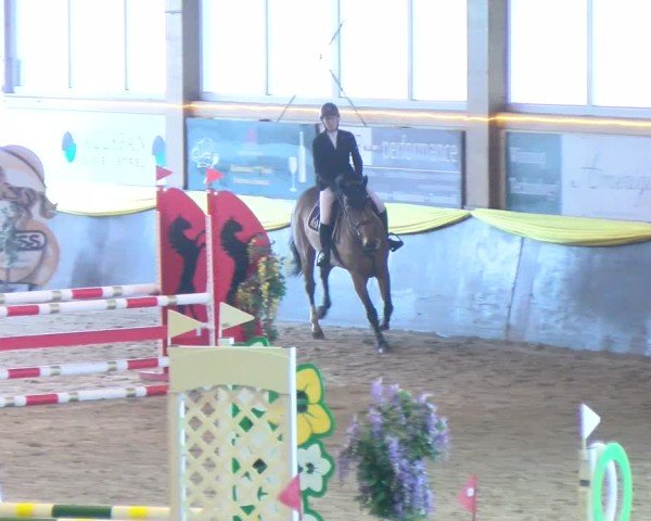 Reitturnier Boll 2025