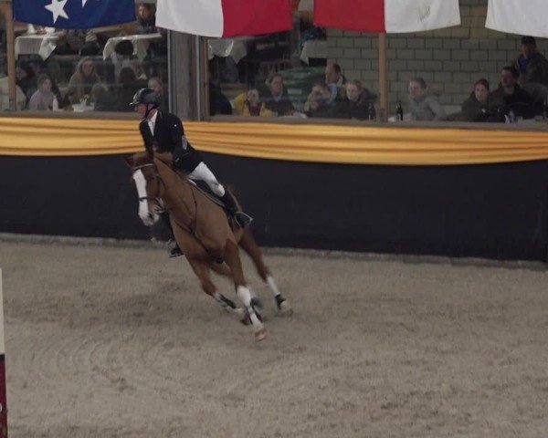 Reitturnier Erlen 2025