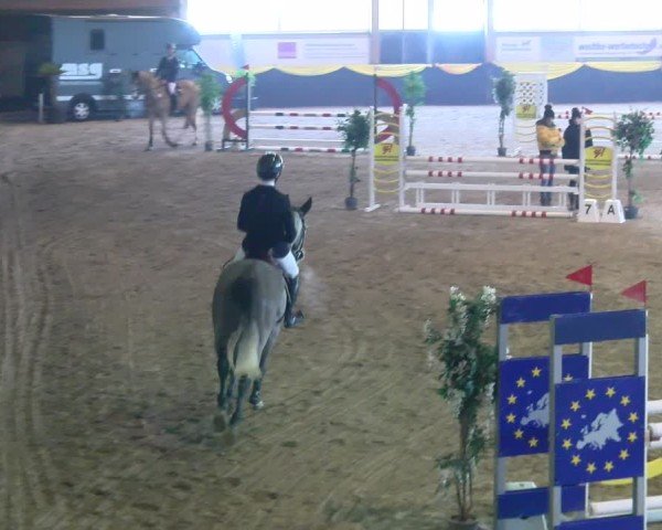 Reitturnier Boll 2025
