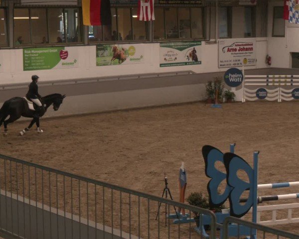 Equestrian Show Luhmühlen 2025