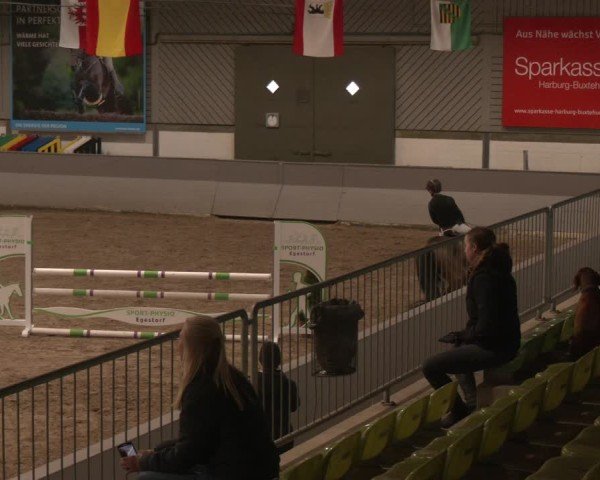 Reitturnier Luhmühlen 2025