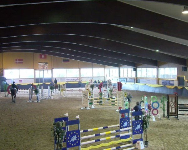 Reitturnier Boll 2025