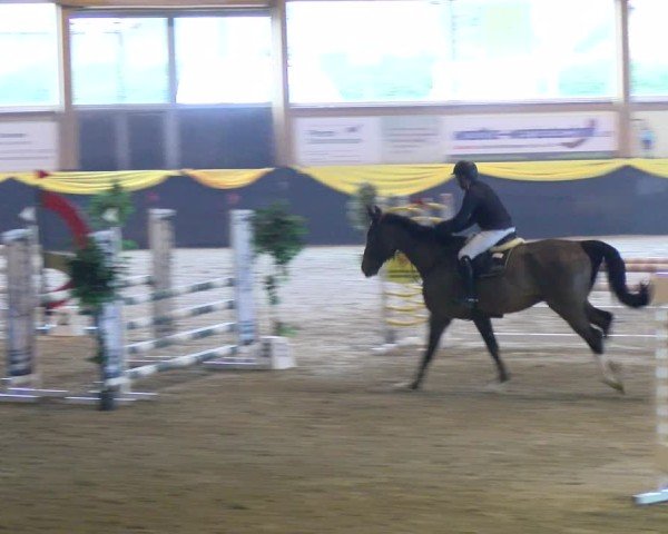 Reitturnier Boll 2025