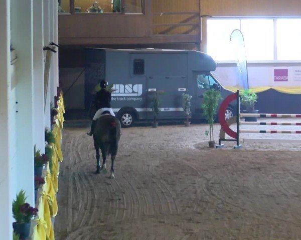 Reitturnier Boll 2025