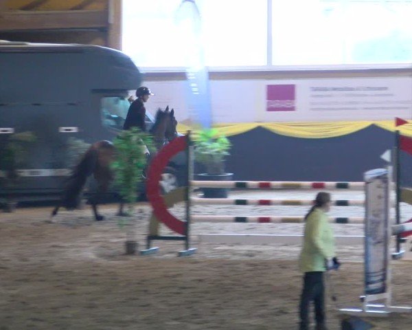 Reitturnier Boll 2025