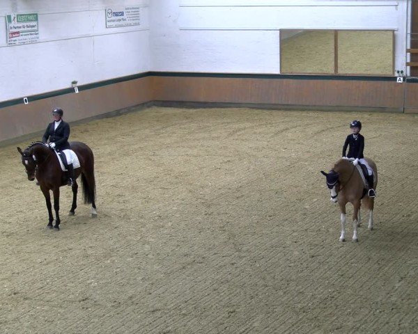 Reitturnier Laer 2025