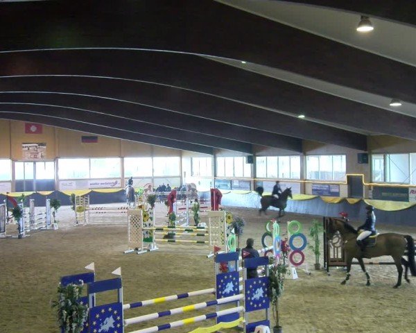 Reitturnier Boll 2025