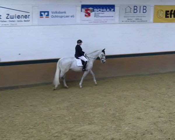 Reitturnier Laer 2025