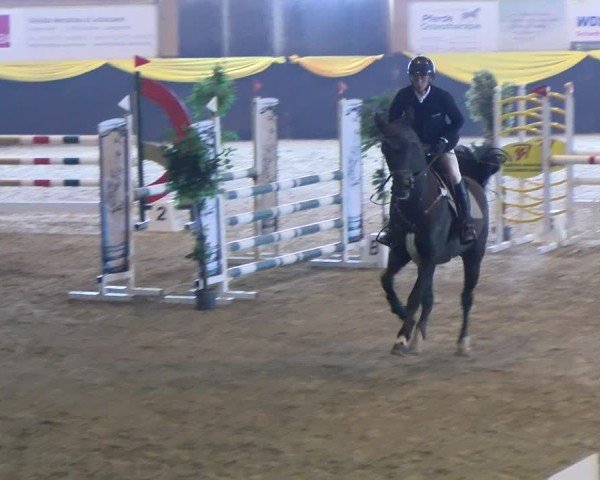Reitturnier Boll 2025
