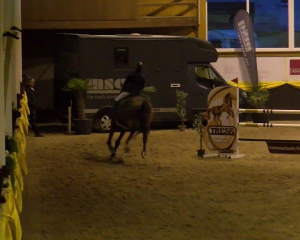 Reitturnier Boll 2025