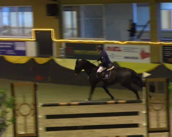 Reitturnier Boll 2025