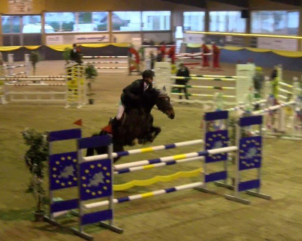 Reitturnier Boll 2025