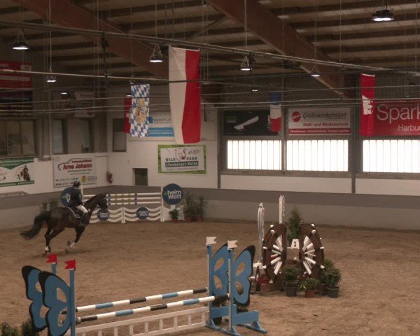 Reitturnier Luhmühlen 2025