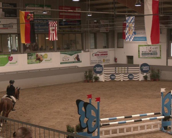 Reitturnier Luhmühlen 2025