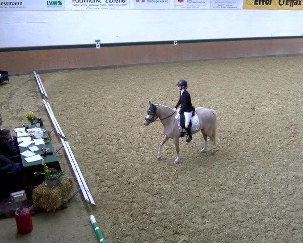 Reitturnier Laer 2025