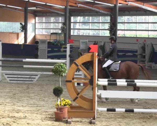 Reitturnier Isterberg 2013