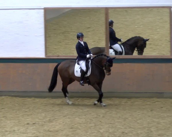 Reitturnier Laer 2025