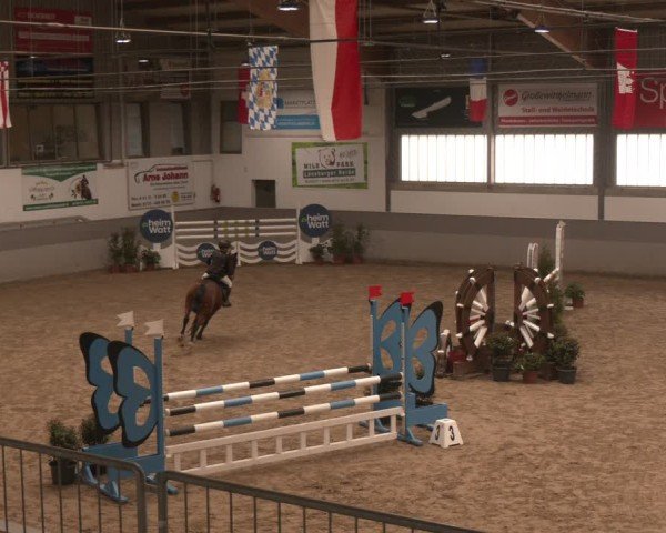 Reitturnier Luhmühlen 2025