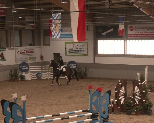 Reitturnier Luhmühlen 2025