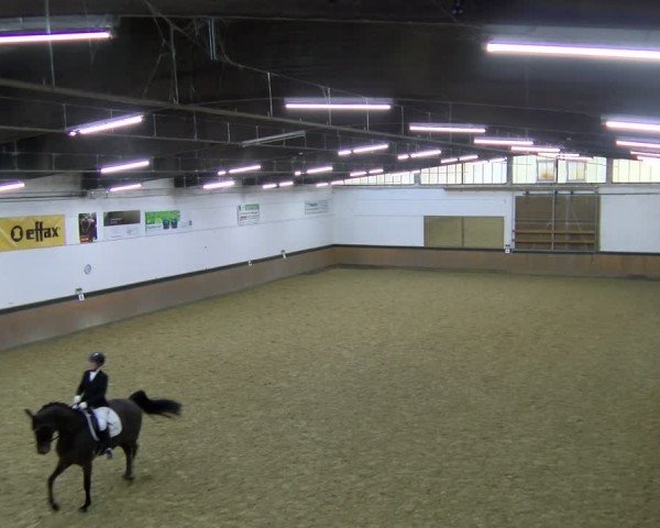 Reitturnier Laer 2025