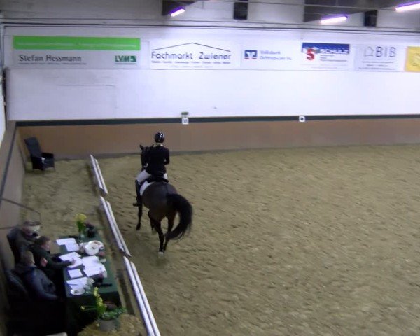 Reitturnier Laer 2025