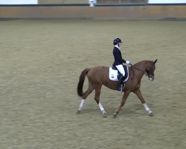 Reitturnier Laer 2025
