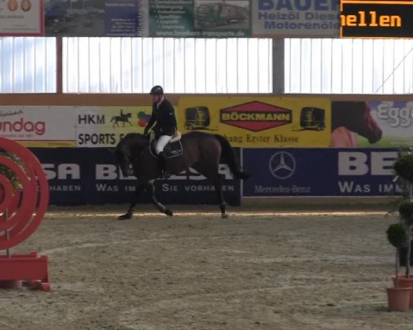 6. Isterberger Euregio-Hallen Springturnier vom 10.-13.10.2013