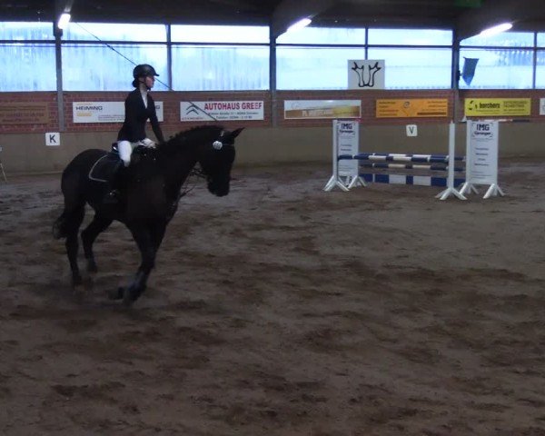 Reitturnier Lembeck 2025