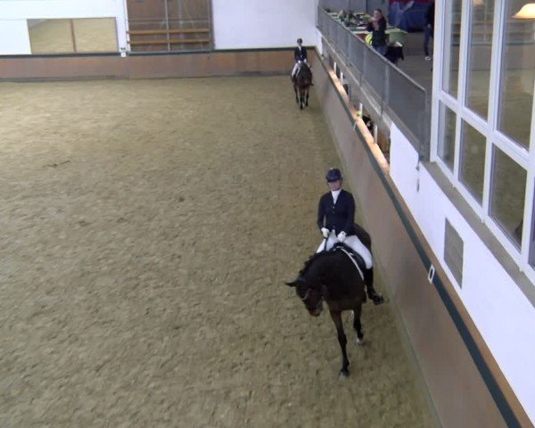 Reitturnier Laer 2025