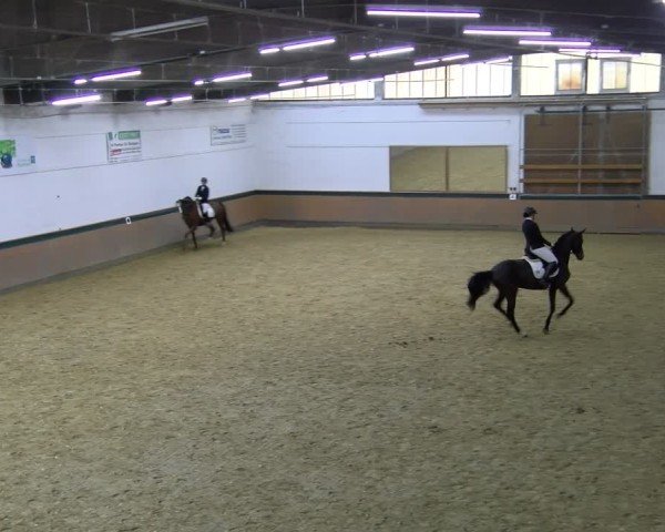 Reitturnier Laer 2025