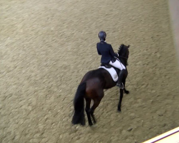 Reitturnier Laer 2025
