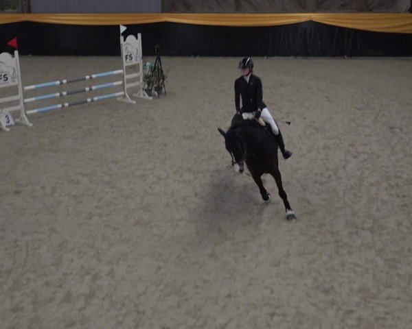 Reitturnier Erlen 2025