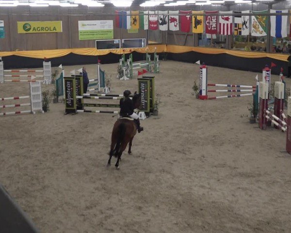 Reitturnier Erlen 2025