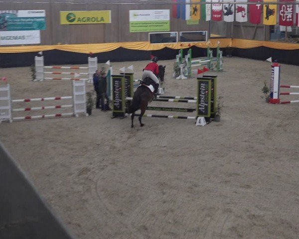 Reitturnier Erlen 2025