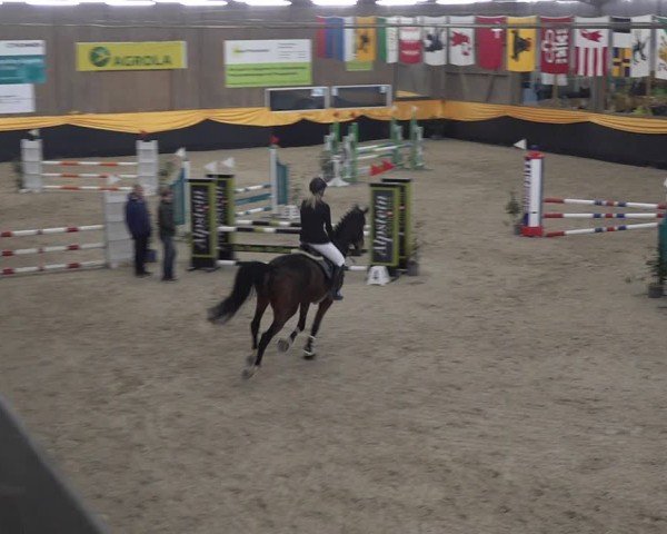 Reitturnier Erlen 2025