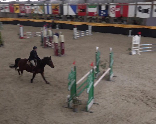 Reitturnier Erlen 2025