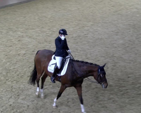 Reitturnier Laer 2025
