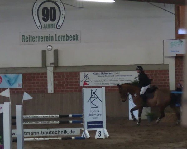 Reitturnier Lembeck 2025