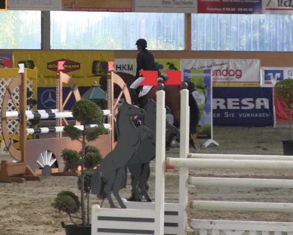6. Isterberger Euregio-Hallen Springturnier vom 10.-13.10.2013