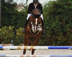 jumper Like Priamos (Westphalian, 2016, from Like Angel)