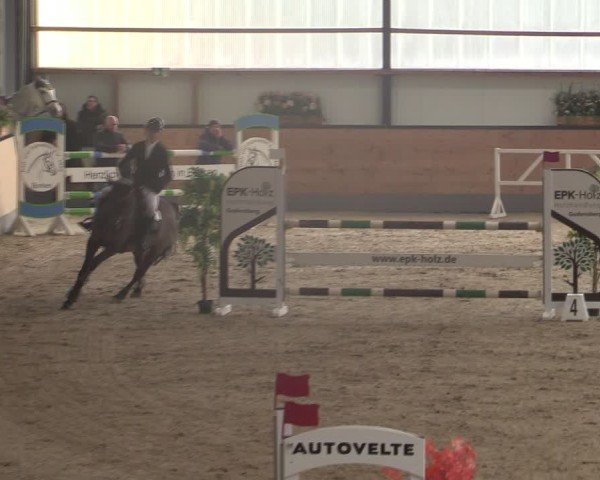 Reitturnier Borken (Hessen) 2025