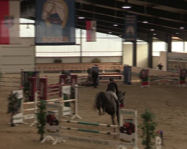 Reitturnier Borken (Hessen) 2025