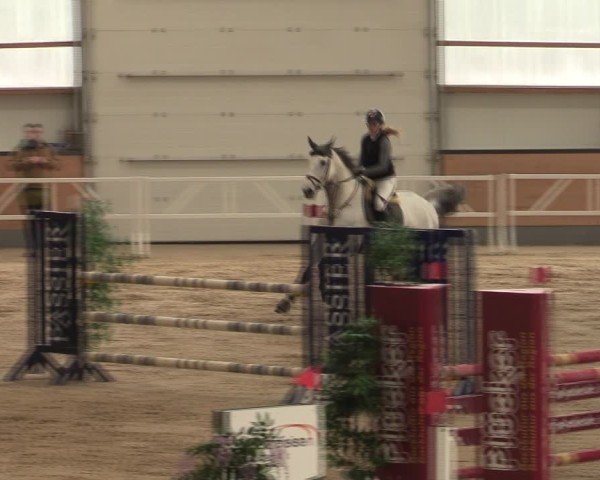 Reitturnier Borken (Hessen) 2025