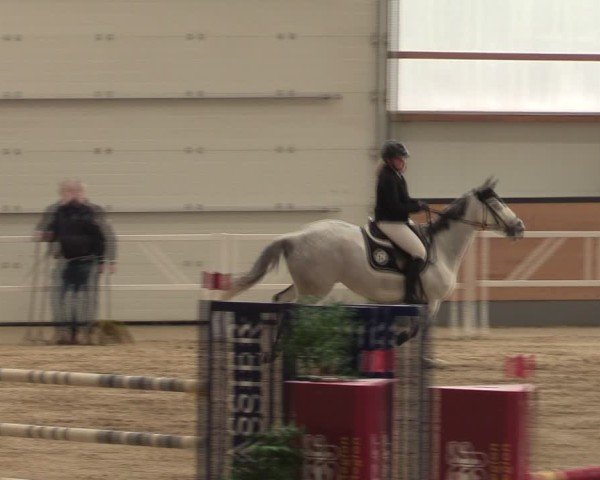 Reitturnier Borken (Hessen) 2025