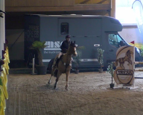 Reitturnier Boll 2025
