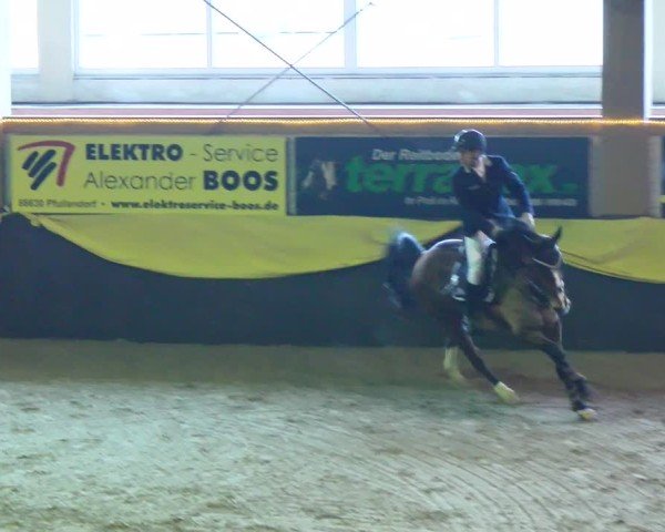 Reitturnier Boll 2025