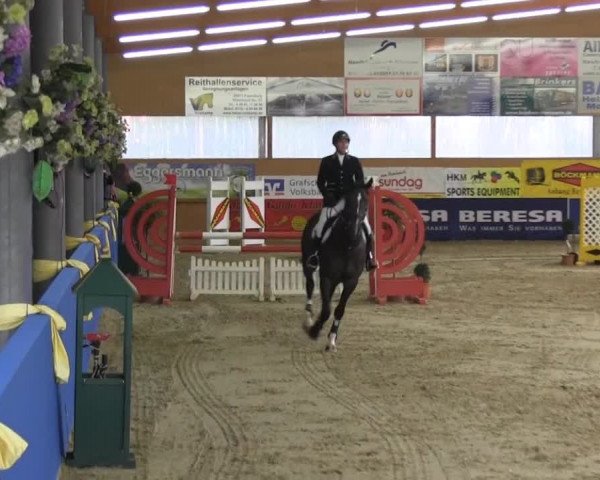 6. Isterberger Euregio-Hallen Springturnier vom 10.-13.10.2013